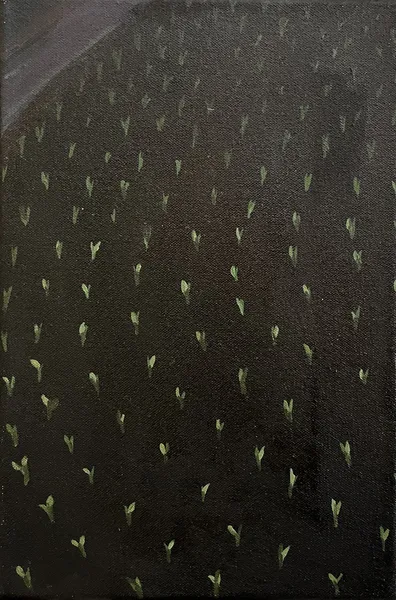 „Zrno" — Olej na plátně od Karin Krutsche, 2024, 30 × 20 cm