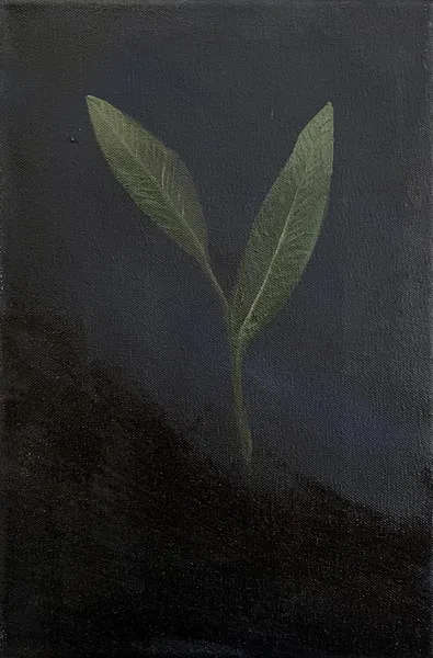 „Zrno" — Olej na plátně od Karin Krutsche, 2024, 30 × 20 cm