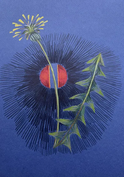 „Jan 8:12, II." — Pastelka na papíře od Karin Krutsche, 2024, 21 × 29 cm